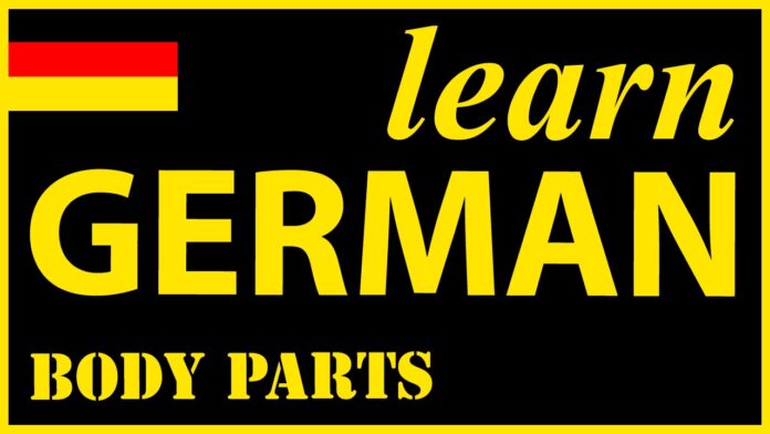 Learn Parts of the body in German for Beginners
