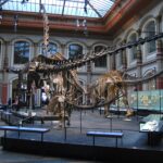 Some Popular Berlin Museums that will Blow your Mind