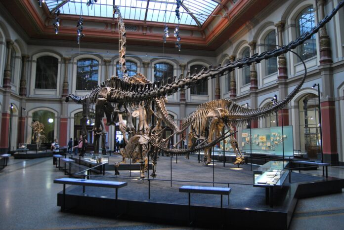Some Popular Berlin Museums that will Blow your Mind