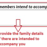 How to fill German National Visa Application Form planforgermany.com (12)