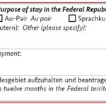 How to fill German National Visa Application Form planforgermany.com (13)