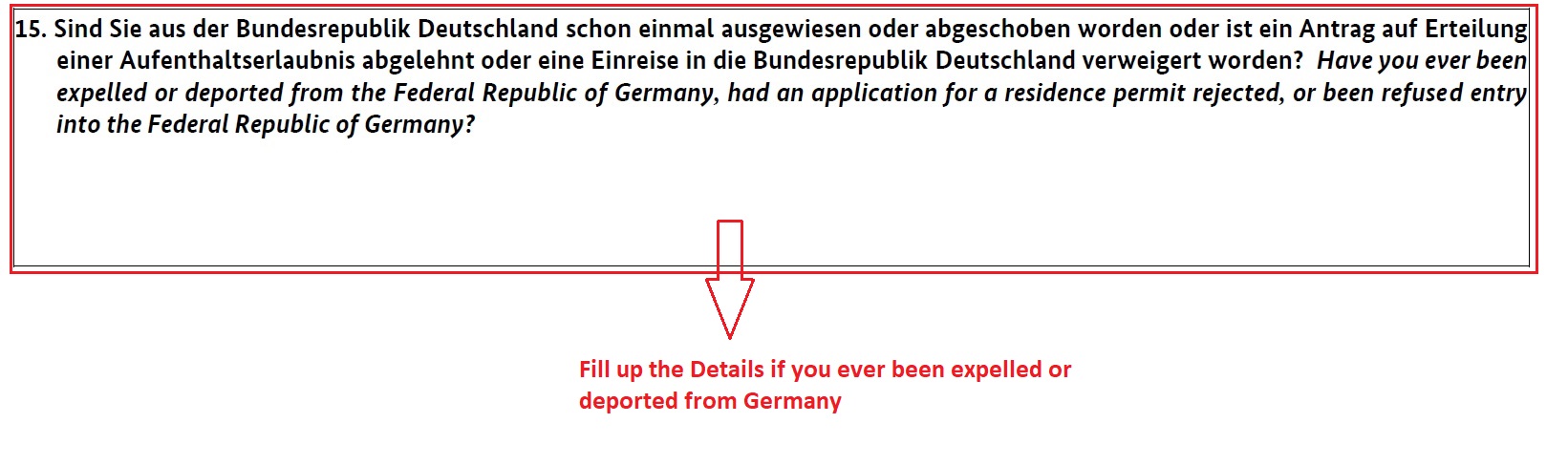 How to fill German National Visa Application Form planforgermany.com