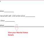 How to fill German National Visa Application Form planforgermany.com (3)