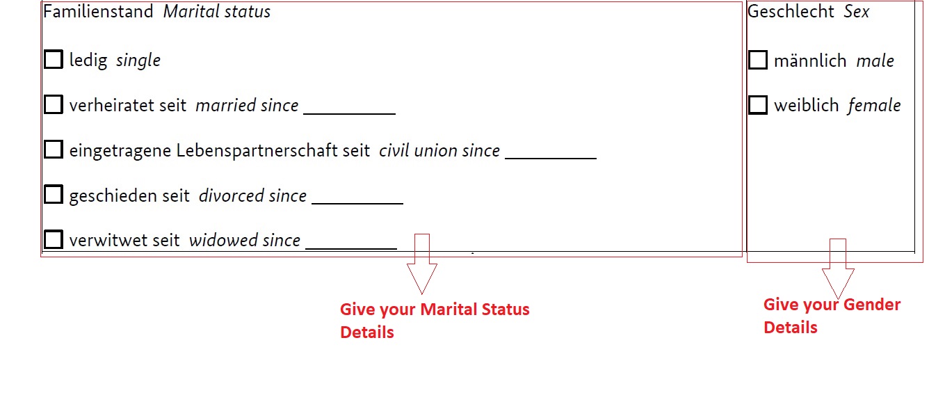 How To Fill German National Visa Application Form Planforgermany 3 Plan For Germany