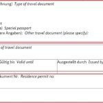How to fill German National Visa Application Form planforgermany.com (4)