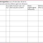 How to fill German National Visa Application Form planforgermany.com (7)