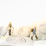 How to fill the German National Visa Application Form