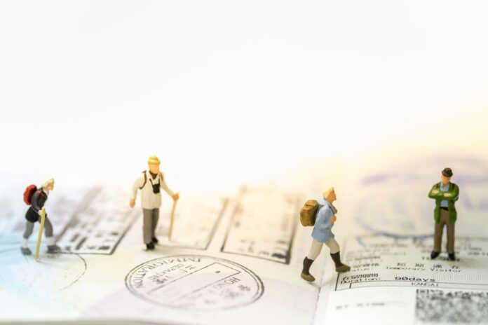 How to fill the German National Visa Application Form