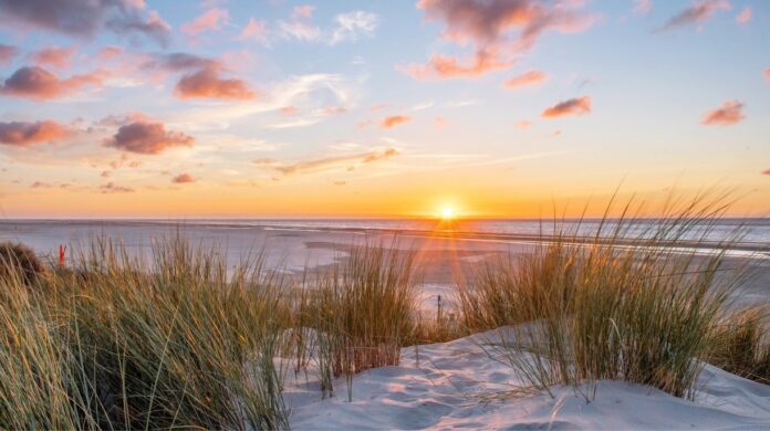 Islands in Germany