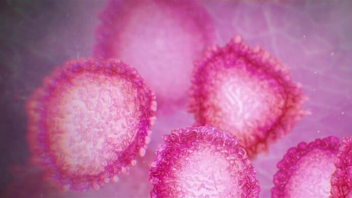Coronavirus India suspends visas for nationals of France, Germany, Spain